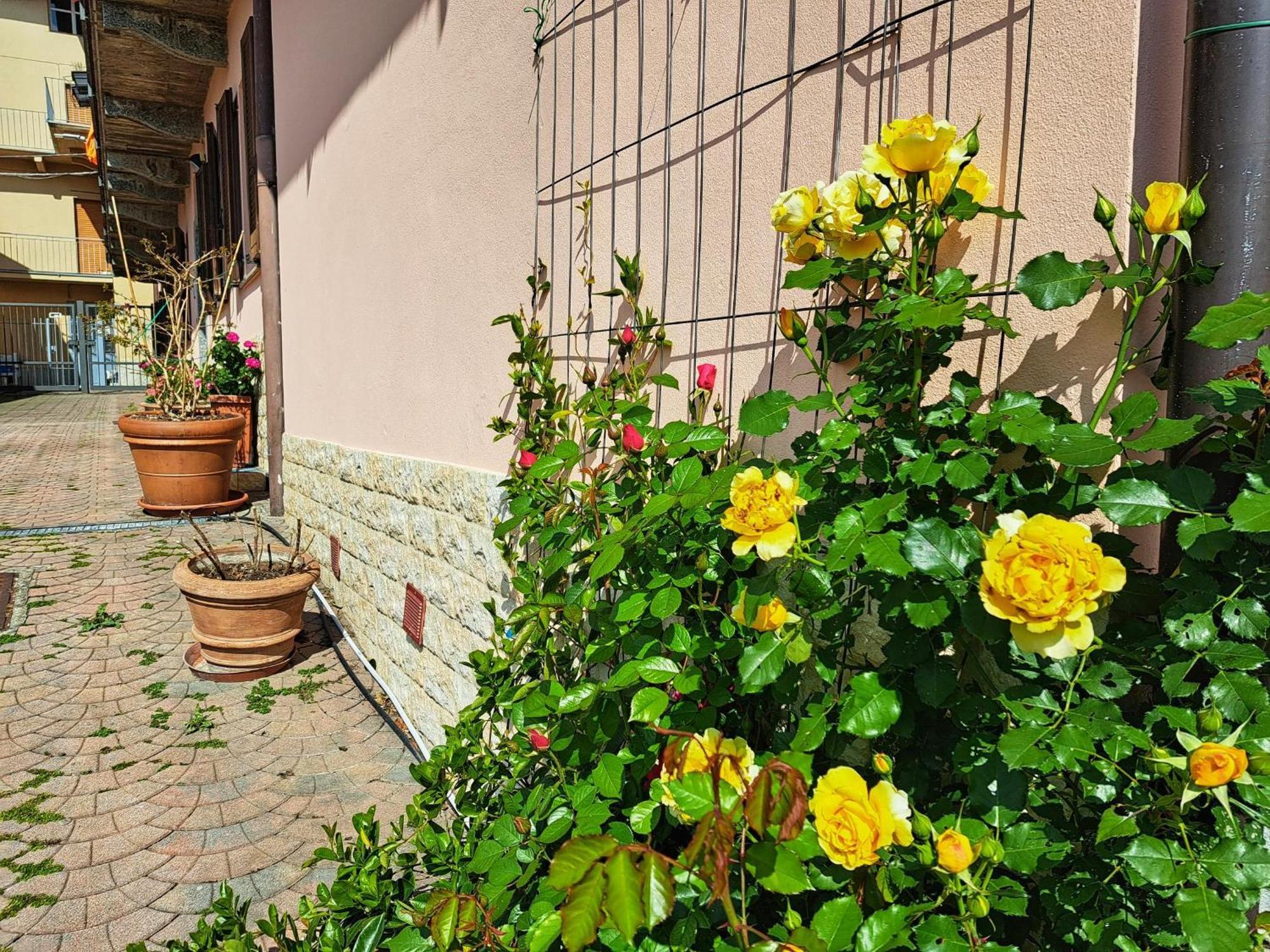 Le Rose Sul Lago Pescate Ngoại thất bức ảnh